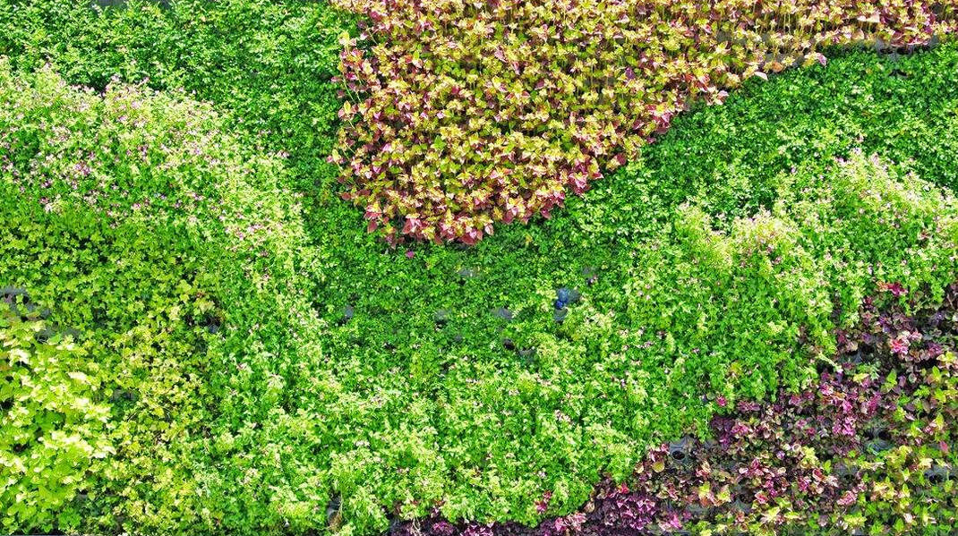 四川华望冰川饮品有限公司公司简介